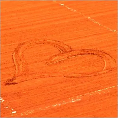 Quel joueur de tennis, vainqueur de trois tournois du Grand Chelem et d�un Masters, est c&eacute;l&egrave;bre pour avoir dessin&eacute; plusieurs fois un c�ur sur le terrain ?