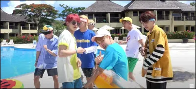 Quel groupe a un fandom appelé "ARMY" ?