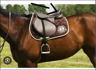 Comment appelle-t-on cette partie de la selle ?