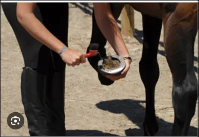 Si quelqu'un cure les pieds de son cheval comment passez-vous ?