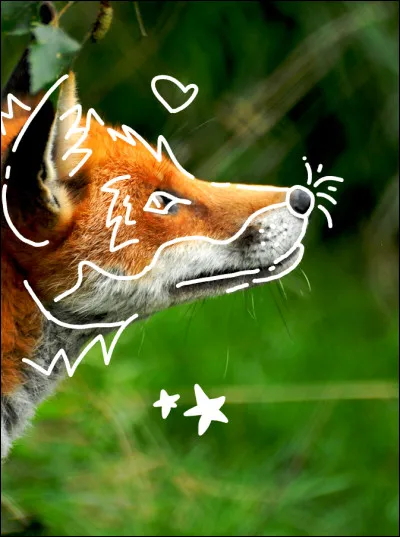 Te sens-tu lié à un animal d'une façon ou d'une autre ?