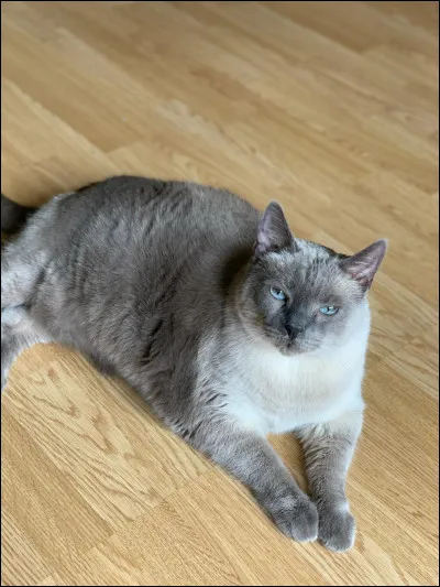 Quelle est ta réaction lorsqu'on t'appelle "humain" ?