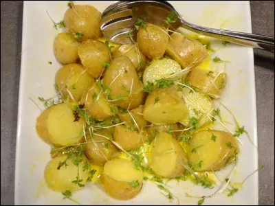 Quelle salade est à base de pommes de terre, dés de jambon et fines herbes ?