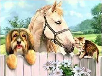 Toutou : Quel animal est souvent désigné par ce mot ?