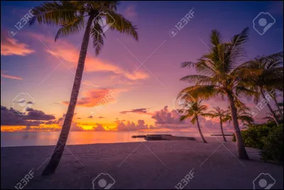 Qui est le dieu ou la déesse de la sagesse ?