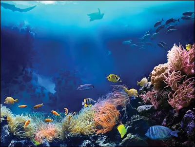 Qui ne fait pas partie des 12 dieux de l'Olympe ?