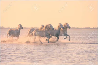 Qui est la déesse de l'amour ?