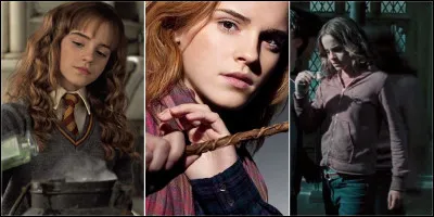 Où Hermione a-t-elle rencontré Harry et Ron ?