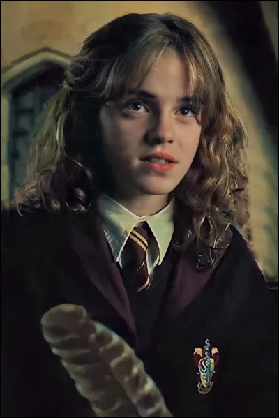 Qui a torturé Hermione Granger au Manoir Malefoy ?