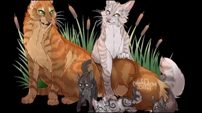 Quand va-t-elle naître ?