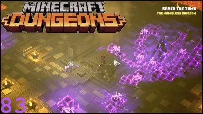 Tu as à présent tué l'Ender Dragon et fini ta survie sans mourir, toutes mes félicitations ! Tu vas avoir à faire un dernier choix. Décides-tu de sauter dans le portail pour retourner dans l'Overworld en quête de nouvelles aventures ou vas-tu chercher des élytres ?