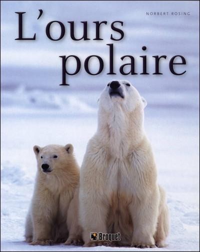 L'ours polaire a un pelage blanc, mais de quelle couleur est sa peau ?
