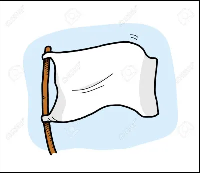 Toujours dans une course de F1, si le drapeau blanc est agité devant vous, que signale-t-il ?