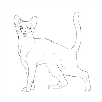 Dans quel clan voudrais-tu être ?