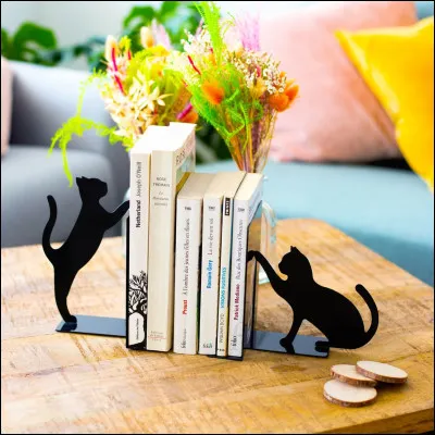 Quelle est la profession principale d'Alain Soral ?