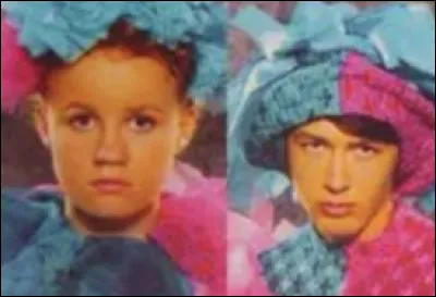 Quelle est la spécialité du district 8 ?