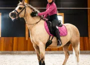 Quiz Le test ultime du cheval et de l'quitation !