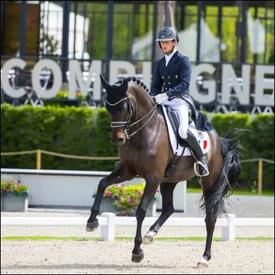 Dans cette figure, le cheval se déplace latéralement en diagonale tout en étant légèrement courbé vers l'intérieur. Que désigne cette définition en dressage ?