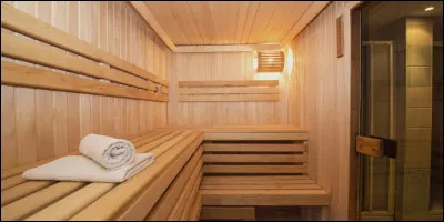 Dans quel pays le sauna a-t-il été inventé ?