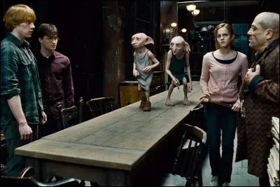 Quelle maison préfères-tu ?