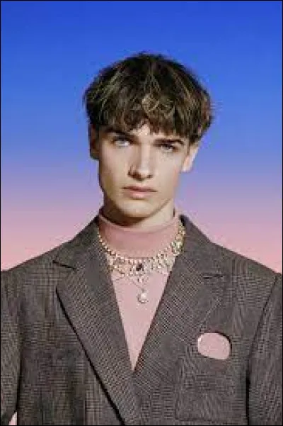 Qui a interprété "Un jour je marierai un ange" ?