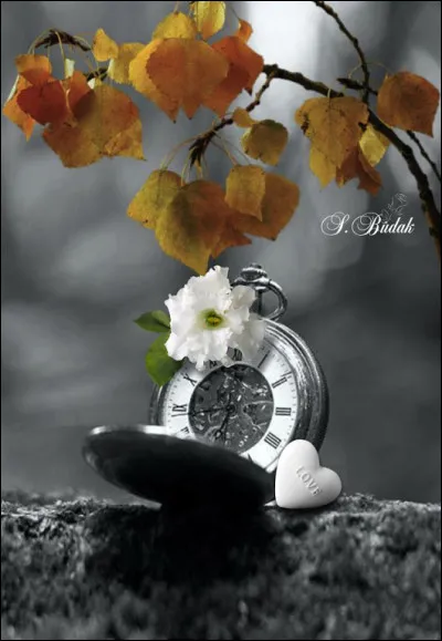 Qui est l'écrivain du livre "Il est plus tard que tu ne penses" ?