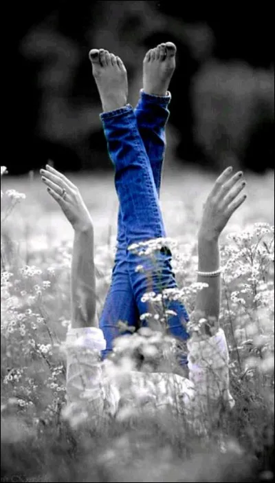 On le dit souvent "Demain est un autre jour !"
Savez-vous de quel célèbre roman de Margaret Mitchell est tirée cette phrase restée dans les mémoires ?