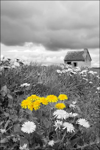 À quel grand poète doit-on les vers "Demain dès l'aube à l'heure où blanchit la campagne, je partirai" ?