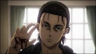 De quel anime/manga fait partie ce personnage ?