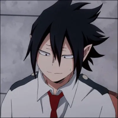 Quel est le nom de code (nom de héros) de Tamaki Amajiki ?