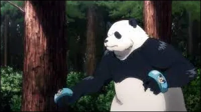 Qu'est-ce qu'est Panda ?