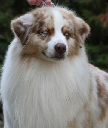 Quelle est cette couleur ?