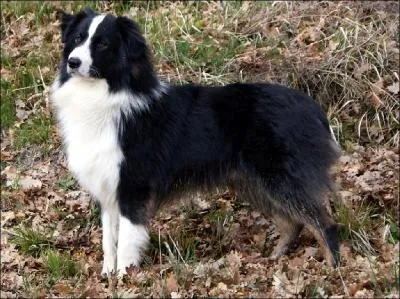 Quelle est cette couleur ?