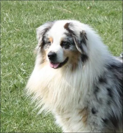 Quelle est cette couleur ?