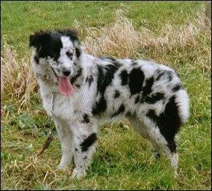 Quelle est cette couleur ?