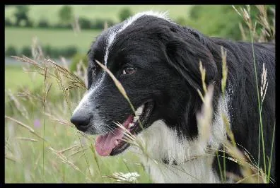 Quelle est cette couleur ?