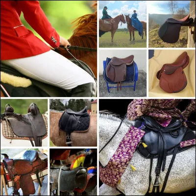 Quelle discipline préfères-tu ?