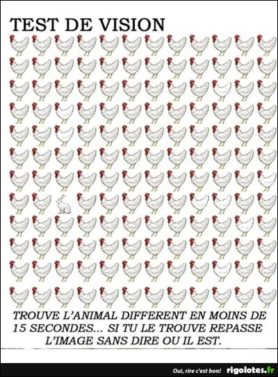 Un peu plus dur, vois-tu un animal différent des autres sur l'image ?