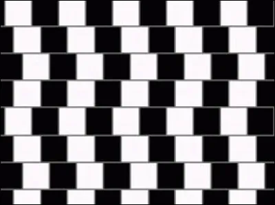 Comment sont les lignes ?