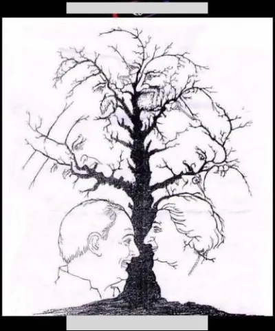 Combien de visages vois-tu sur cette image ?