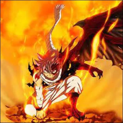 Qui est le meilleur ami de Natsu ?