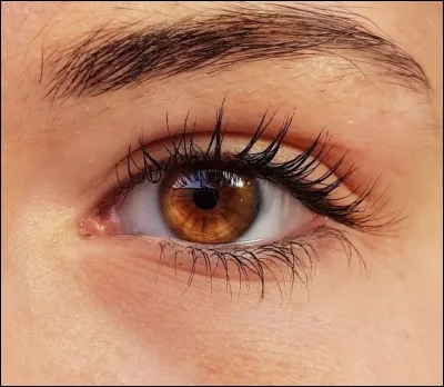 Aux yeux du chef tu serais...