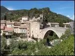 Palmiers et platanes alternent dans la 'petite Nice' des Baronnies. Le pont du Diable et ses arches romaines, les ruelles du quartier du Fort et les 6 tours, c'est la cit des olives.