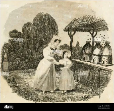 À qui doit-on la chanson "Tout, tout pour ma chérie" ?