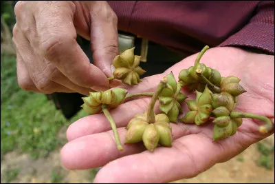 L'eau le trouble, c'est l'...
