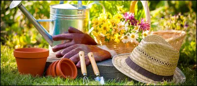 On dit qu'une personne douée en jardinage a la main...