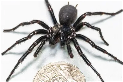 Et que dirais-tu de cette image ?