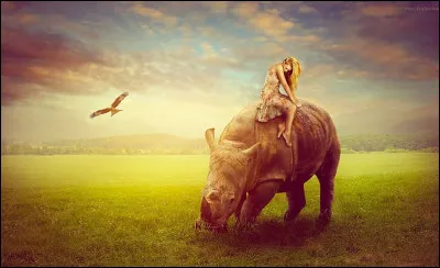 Daisy est un personnage secondaire de la pièce de théâtre "Rhinocéros". Qui en est l'auteur ?