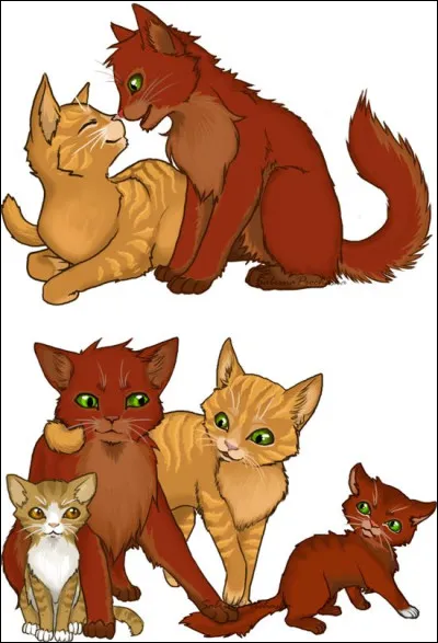 Et veux-tu des chatons ?