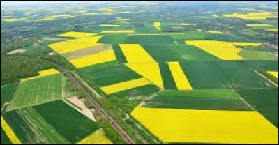 On recherche le prénom d'un célèbre entraîneur de football :